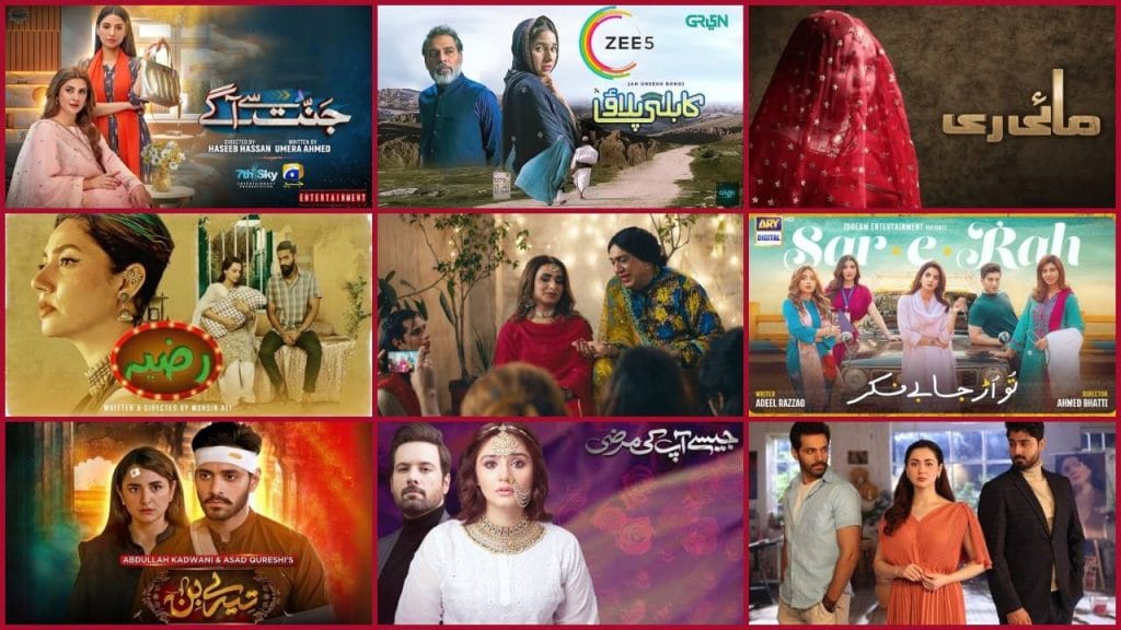 10 Best Pakistani Dramas to Watch in 2024